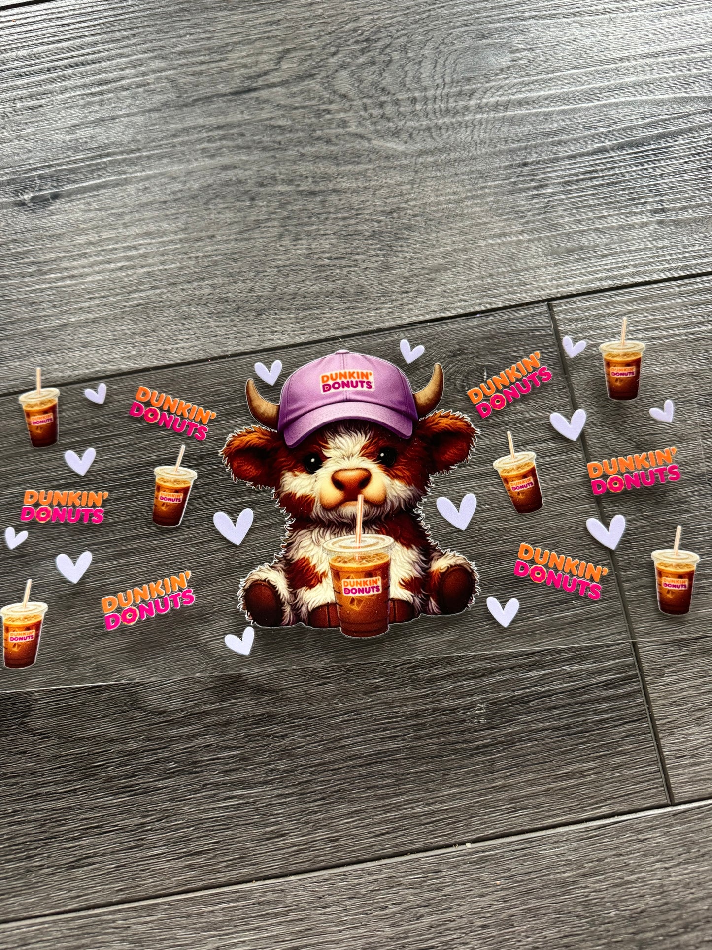 Highland cow Dunkin