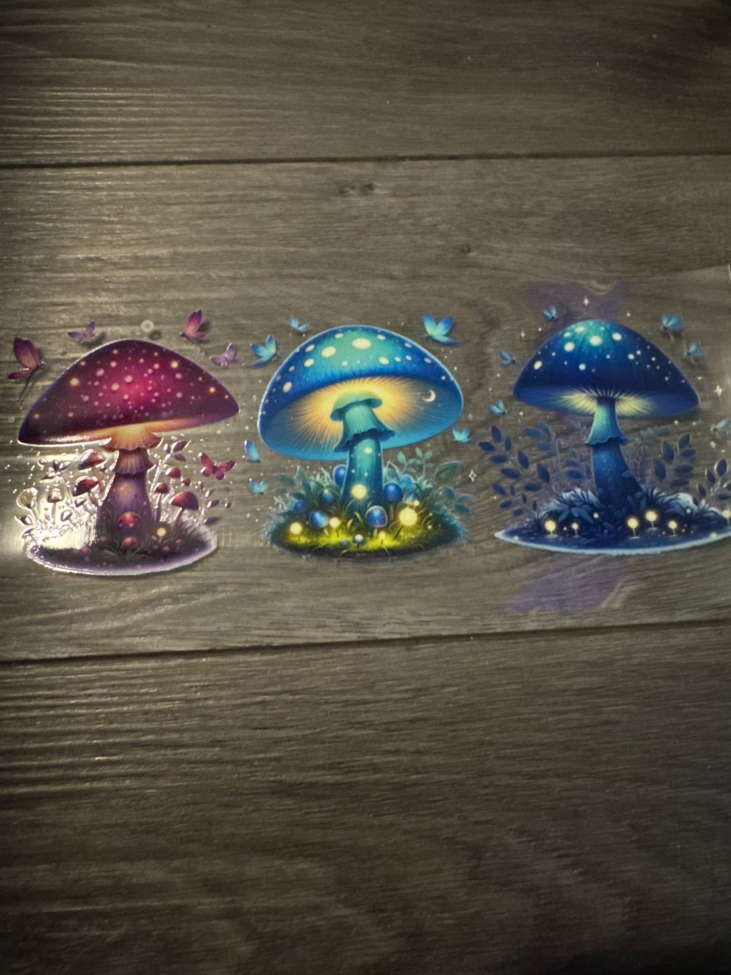 Mushroom - 2