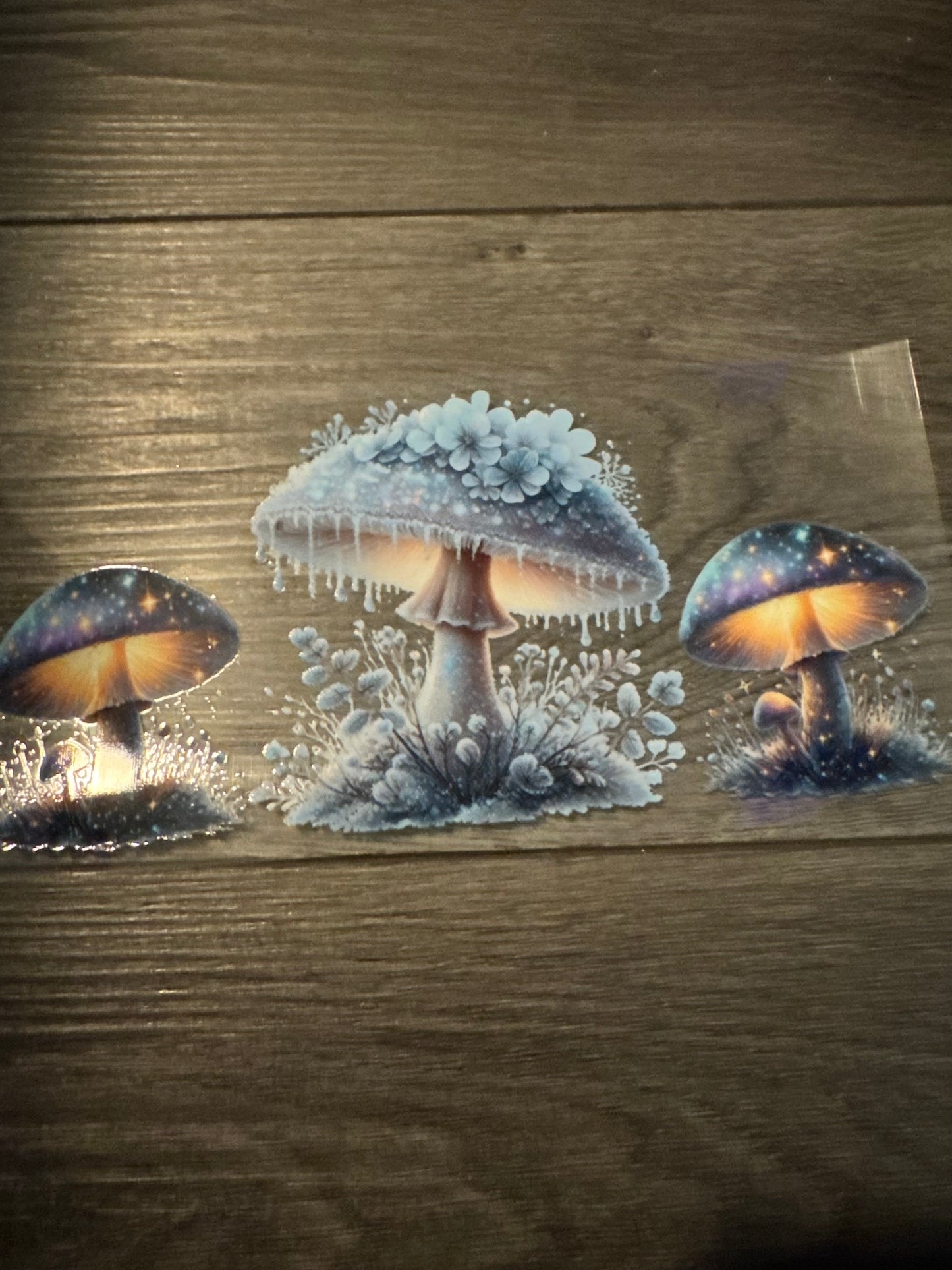 Mushroom - 1