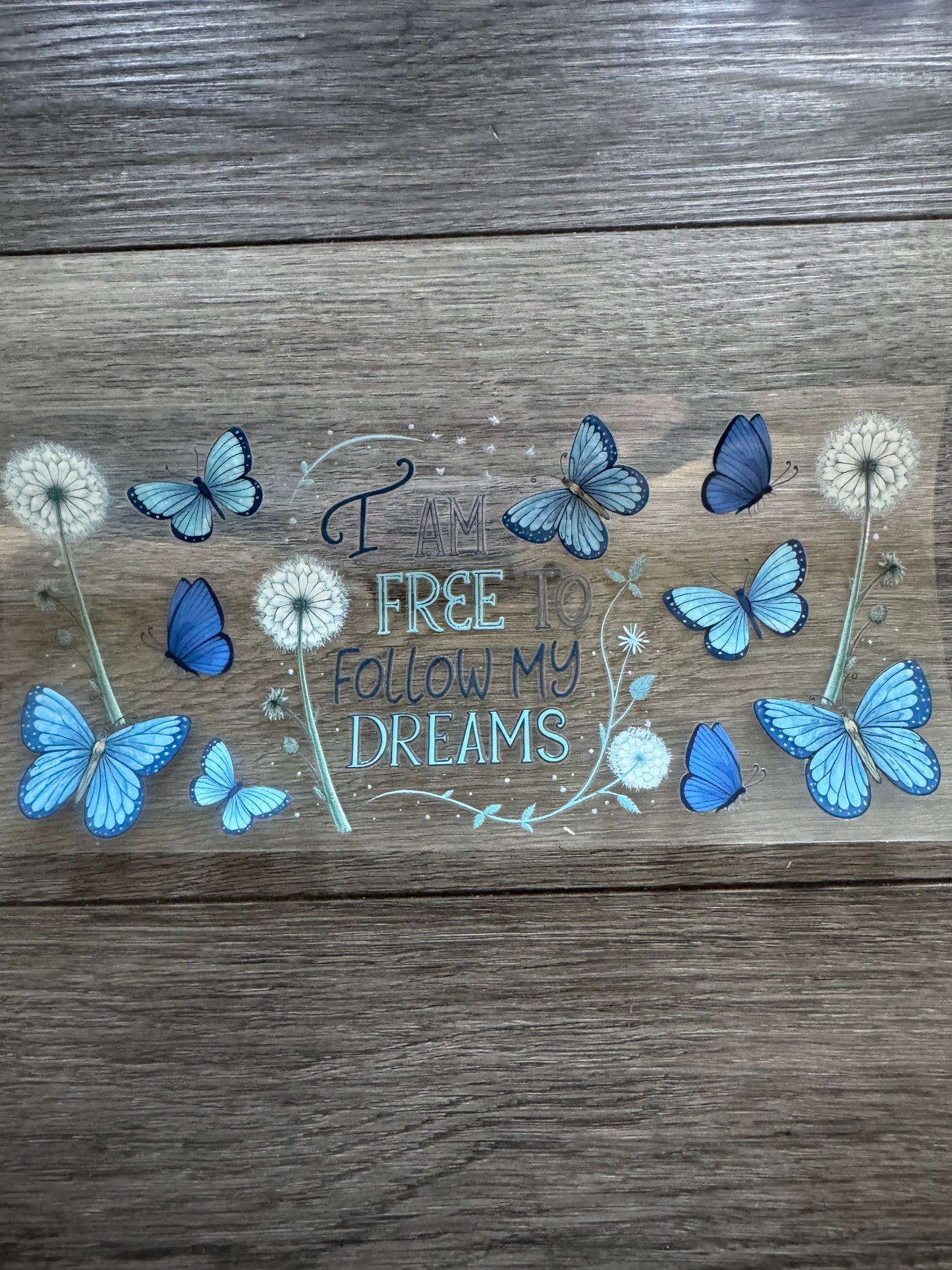 Butterfly - 3