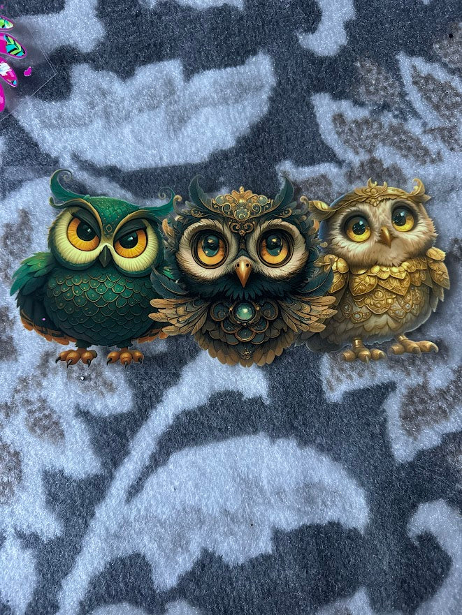 Owl