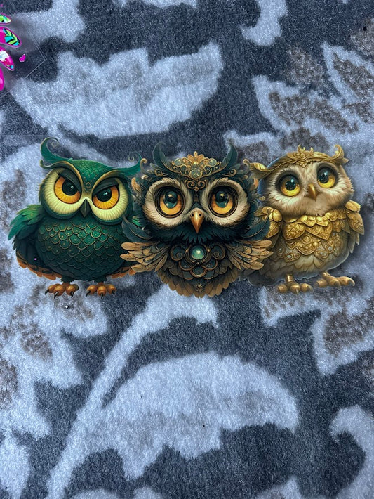 Owl