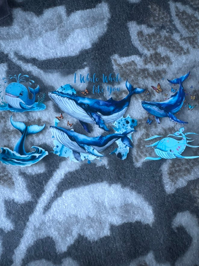 Blue Whale